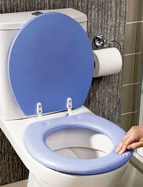 Unbranded EMBROIDERED TOILET SEAT