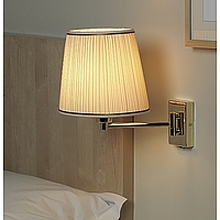 Unbranded EN9086 BP/OV 10 CR - Brass Plated Swing Arm Light