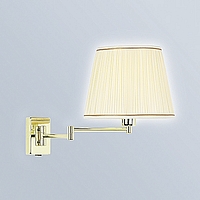 Unbranded EN9087 BP/OV 10 CR - Brass Plated Swing Arm Light