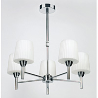 Unbranded EN91195 - 5 Light Polished Chrome Ceiling Light