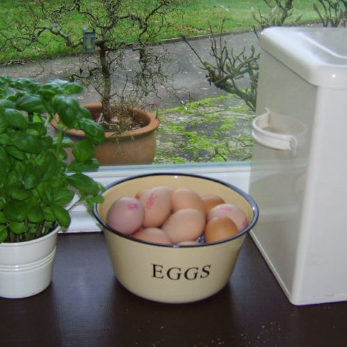 Unbranded Enamel Eggs Bowl