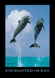 This Keyring measures 35 by 50mm. One of a range of Keyrings available at Oneposter.com