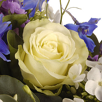 Unbranded English Country Garden - flowers