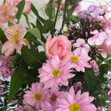 Unbranded English Garden