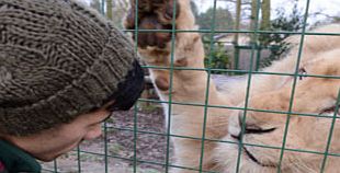 Unbranded Entry to Paradise Wildlife Park and Feed the