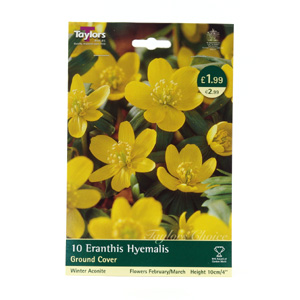 Unbranded Eranthis Hyemalis Lily Bulbs