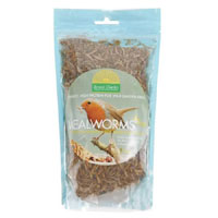 Unbranded Ernest Charles Mealworms Plus 200g POUCH