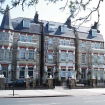 Unbranded Euro Clapham