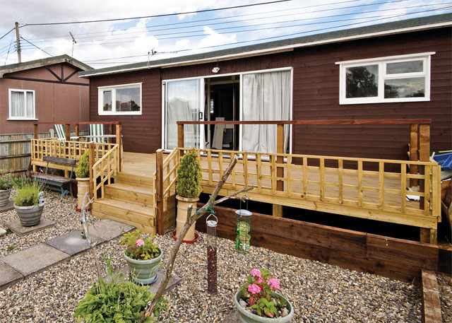 Unbranded Evening Glory