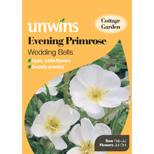 Unbranded Evening Primrose Wedding Bells Seeds