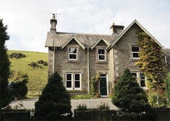 Unbranded Ewes Schoolhouse