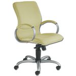 Executive Chair-Sage Green