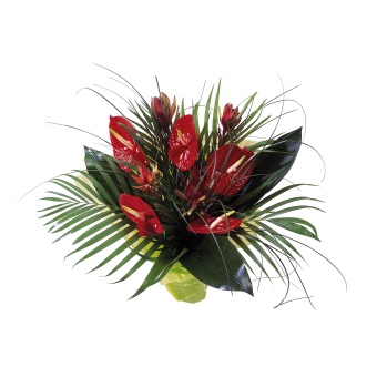 Exotic flower arrangement