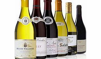 Unbranded Explore Burgundy