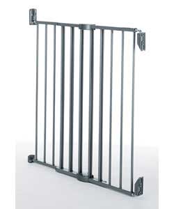 Extending Silver Metal Gate