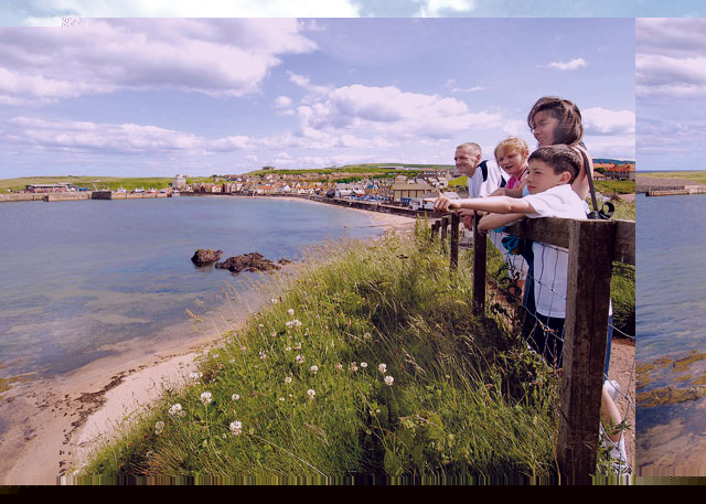 Unbranded Eyemouth Bronze 2 WF Holiday Park