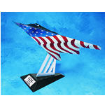 Unbranded F-117 Stealth Patriotic Fighter