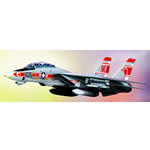 Unbranded F-14 Tomcat US Navy `Wolfpack`
