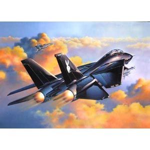 F-14A Black Tomcat plastic kit from German specialists Revell. The manoeuvrable F-14 is one of the m