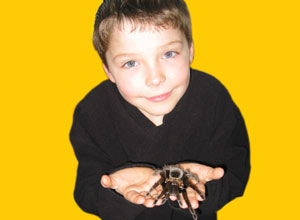 Unbranded Face your phobia experience