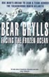 Facing The Frozen Ocean