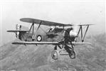 Unbranded Fairey Flycatcher: Length 12.54 inches, Wingspan 15.8 inche - As per Illustration