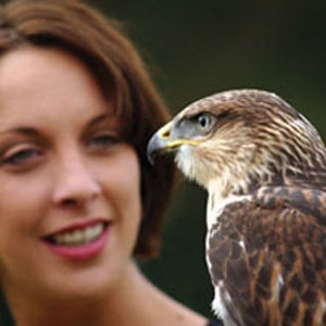 Unbranded Falconry Experience - Full Day