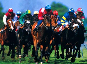 Unbranded Family day at Newmarket races