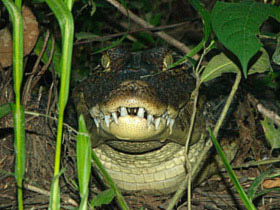 Family holiday in Costa Rica