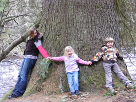 Unbranded Family holidays in Scotland, nature and wildlife