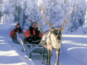 Unbranded Family multi activity week in Finland