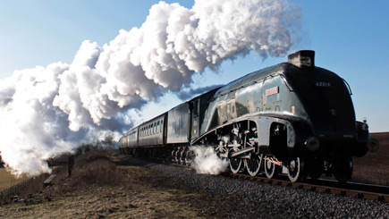 Unbranded Family Steam Trip