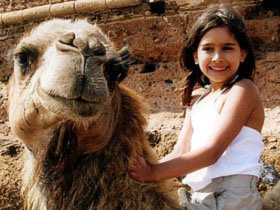 Unbranded Family tour to Morocco