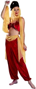 Unbranded Fancy Dress - Adult Arabian Queen Costume