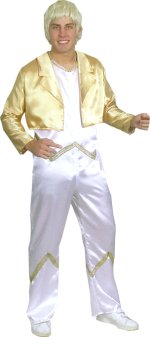 Unbranded Fancy Dress - Adult Bjorn ABBA Costume