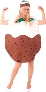 Unbranded Fancy Dress - Adult Christmas Pudding Costume