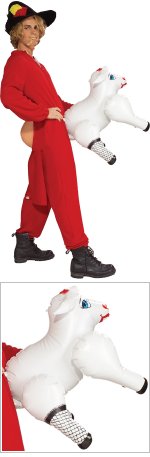 Unbranded Fancy Dress - Adult Country Lovin`Costume