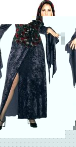 Unbranded Fancy Dress - Adult Dark Vixen Costume (FC)