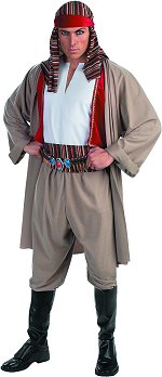 Unbranded Fancy Dress - Adult Desert Sheik Costume