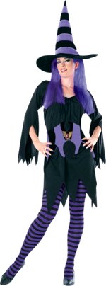 Unbranded Fancy Dress - Adult Drucilla The Witch Costume