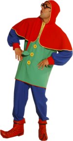 Unbranded Fancy Dress - Adult Dwarf Costume