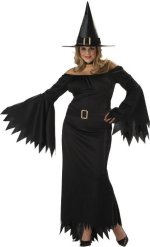 Unbranded Fancy Dress - Adult Elegant Witch Costume (FC)