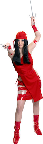 Unbranded Fancy Dress - Adult Elektra Costume Small