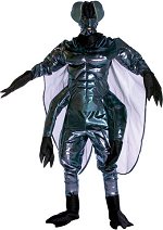 The fly includes mask, top with wings, trousers, hand covers and boot tops.