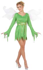 Costume includes dress and wings.