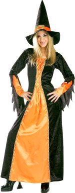 Unbranded Fancy Dress - Adult Gothic Witch Costume