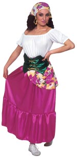 Unbranded Fancy Dress - Adult Gypsy Costume (FC)