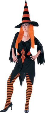 Unbranded Fancy Dress - Adult Hagatha The Witch Costume