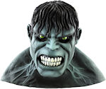 Unbranded Fancy Dress - Adult Hulk Movie Deluxe Super Hero