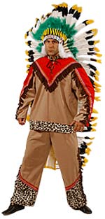 Unbranded Fancy Dress - Adult Indian Costume